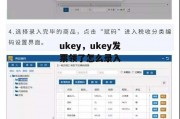 ukey，ukey发票领了怎么录入