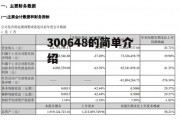 300648的简单介绍