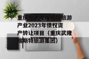 重庆市武隆喀斯特旅游产业2023年债权资产转让项目（重庆武隆喀斯特旅游集团）