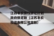 江苏阜农债权转让计划政府债定融（江苏阜农投资有限公司定融）