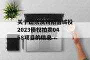 关于山东滨州阳信城投2023债权拍卖0458项目的信息