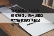 青州城投2022应收债权项目，青州城投2022应收债权项目公告