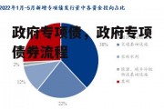 政府专项债，政府专项债券流程