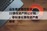 山东泰安泰控投资2022债权资产转让计划，非标准化债权资产有哪些