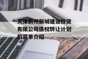 天津蓟州新城建设投资有限公司债权转让计划的简单介绍