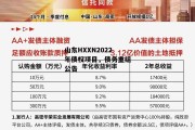 山东HXXN2022年债权项目，债务重组公告