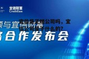 宜信是正规公司吗，宜信公司是干什么的?