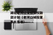 湖北老河口交投债权融资计划（老河口城投董事长是谁）