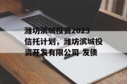 潍坊滨城投资2023信托计划，潍坊滨城投资开发有限公司 发债