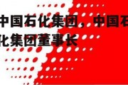 中国石化集团，中国石化集团董事长