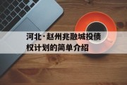 河北·赵州兆融城投债权计划的简单介绍