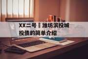 XX二号•潍坊滨投城投债的简单介绍