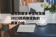 山东蒜都金乡土地发展2023政府债定融的简单介绍