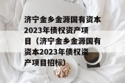 济宁金乡金源国有资本2023年债权资产项目（济宁金乡金源国有资本2023年债权资产项目招标）