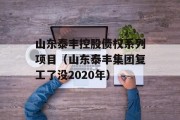 山东泰丰控股债权系列项目（山东泰丰集团复工了没2020年）