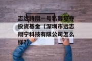 志远腾翔一号私募证券投资基金（深圳市远志翔宁科技有限公司怎么样?）