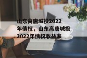 山东高唐城投2022年债权，山东高唐城投2022年债权收益率