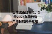 山东梁山经发(1、2)号2023年债权资产项目的简单介绍