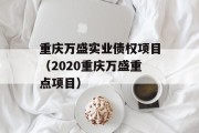 重庆万盛实业债权项目（2020重庆万盛重点项目）