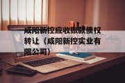 咸阳新控应收账款债权转让（咸阳新控实业有限公司）