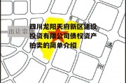 四川龙阳天府新区建设投资有限公司债权资产拍卖的简单介绍