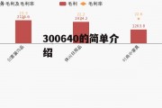 300640的简单介绍