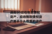 湖南SD应收账款债权资产，应收账款债权资产属于什么性质的资产