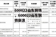 600022山东钢铁，600022山东钢铁新浪