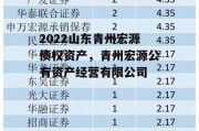 2022山东青州宏源债权资产，青州宏源公有资产经营有限公司