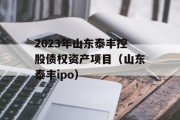 2023年山东泰丰控股债权资产项目（山东泰丰ipo）