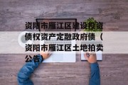 资阳市雁江区建设投资债权资产定融政府债（资阳市雁江区土地拍卖公告）