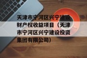 天津市宁河区兴宁建设财产权收益项目（天津市宁河区兴宁建设投资集团有限公司）