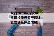 陕西2023年延安城市建投债权资产转让（延安城投评级信息）