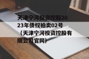 天津宁河投资控股2023年债权拍卖02号（天津宁河投资控股有限公司官网）