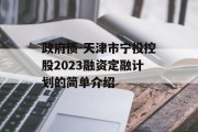 政府债-天津市宁投控股2023融资定融计划的简单介绍