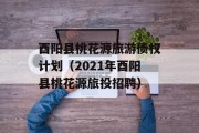 酉阳县桃花源旅游债权计划（2021年酉阳县桃花源旅投招聘）