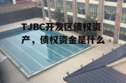 TJBC开发区债权资产，债权资金是什么