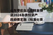 山东枣庄台儿庄财金投资2024年债权资产政府债定融（标准化债权资产）