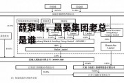 薛黎曦，晟晏集团老总是谁