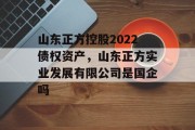 山东正方控股2022债权资产，山东正方实业发展有限公司是国企吗