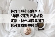 林州市城市投资2023年债权系列产品城投定融（林州城投集团在林州都有哪些项目）