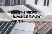 四川省一SN市2023年收益权政信产品的简单介绍