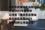 重庆市武隆仙女山新区开发2023年债权转让项目（重庆市武隆仙女山新区开发2023年债权转让项目公告）