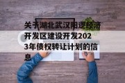 关于湖北武汉阳逻经济开发区建设开发2023年债权转让计划的信息