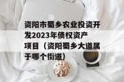 资阳市蜀乡农业投资开发2023年债权资产项目（资阳蜀乡大道属于哪个街道）