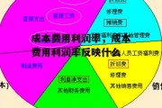 成本费用利润率，成本费用利润率反映什么