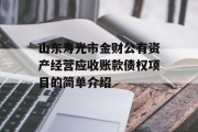 山东寿光市金财公有资产经营应收账款债权项目的简单介绍