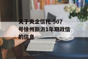 关于央企信托-507号徐州新沂1年期政信的信息