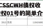 ZCSSCWH债权收益权01号的简单介绍