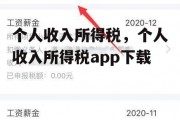 个人收入所得税，个人收入所得税app下载